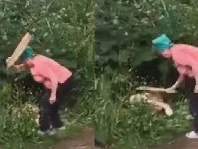 5 Dzikir Supaya Hajat Cepat Terkabul Paling Mustajab