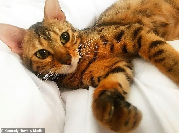 6 Doa Murah Rezeki Dari Kitabullah…Jom Amalkan dan 