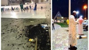 Ribuan-Cengkerik-ini-mnyerang-Makkah-Seperti-mana-yg-sudah-djlaskn-dalam-Al-Quran-Melalui-Surah-Al-Aaraf