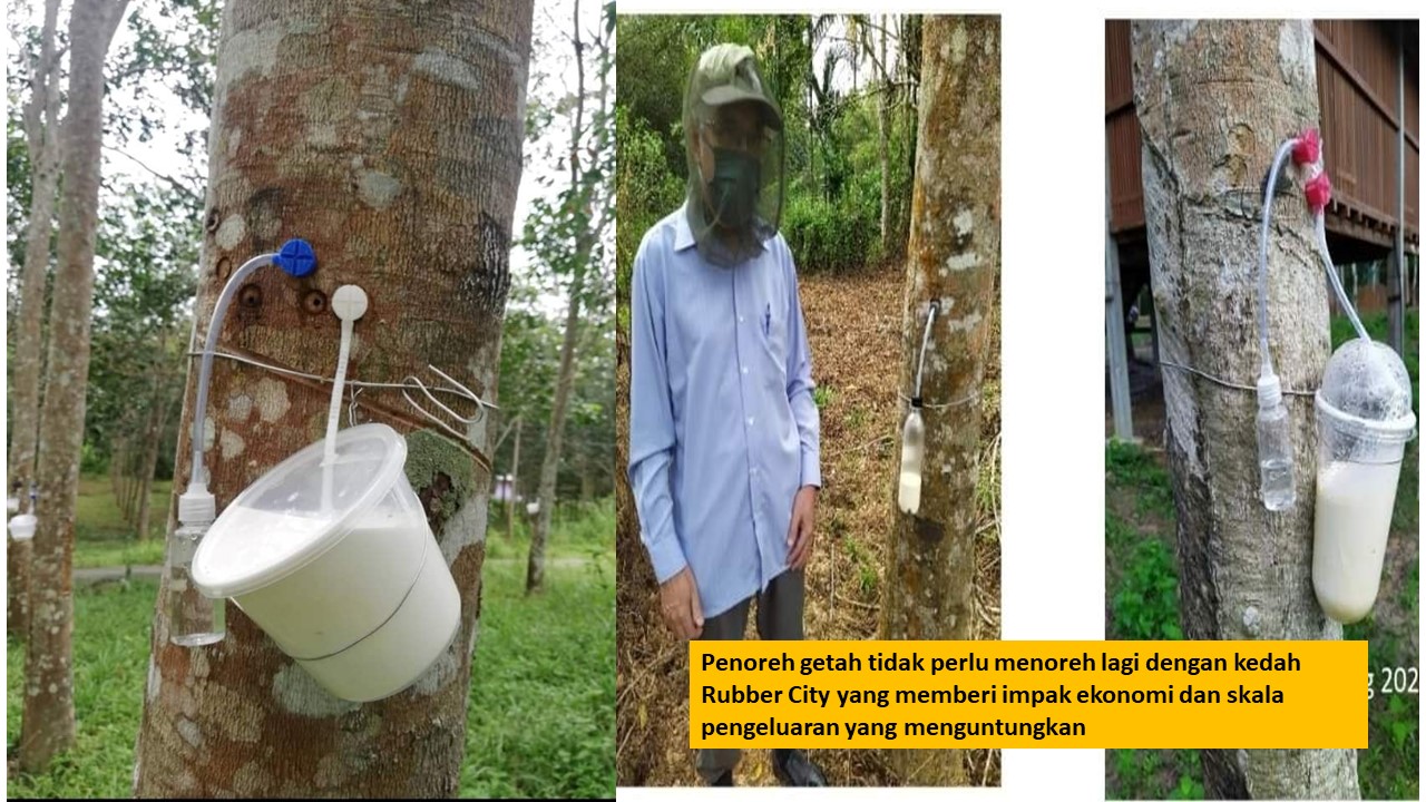 Slide1-3