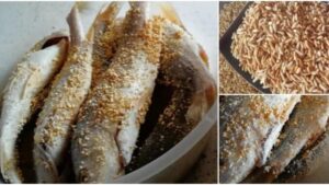 Cara-Buat-Sendiri-Ikan-Pekasam-Sedap-Dan-Terjamin-Kebersihannya-1-678x381