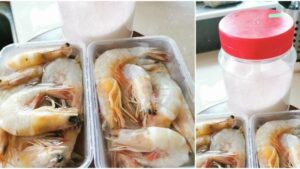 Kekal-Segar-Hingga-6-Bulan-Ini-Tips-Simpan-Udang-‘Fresh’-Macam-Baru-Naik-Dari-Laut-1-678x381