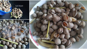 Lelaki-Ini-Kongsi-Cara-Rebus-Kerang-Tanpa-Air-Barulah-Isi-Lembut-Tak-Liat-678x381