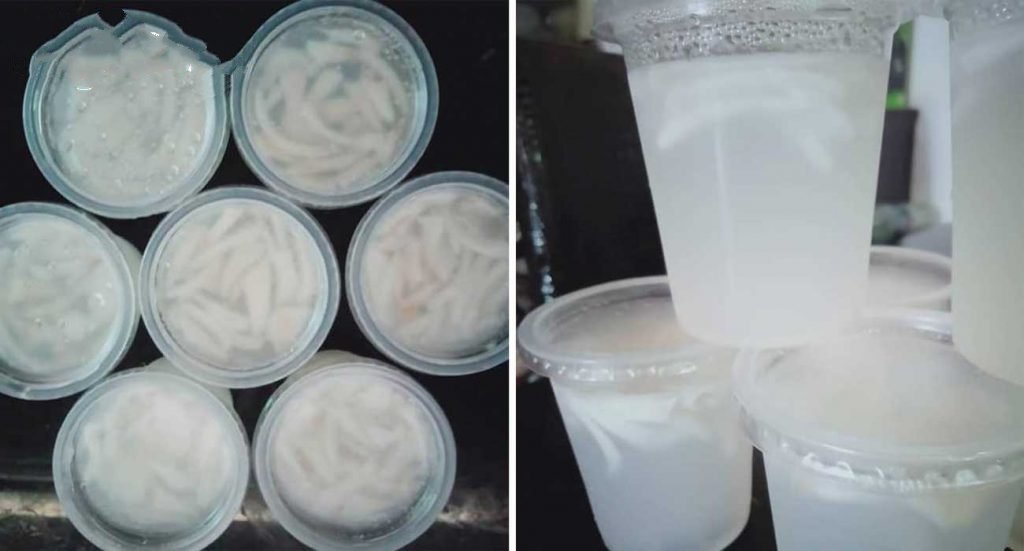 cara-buat-kelapa-jelly--1024x551