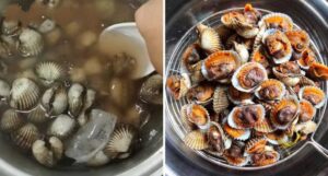 cara-mudah-bersihkan-kerang-2-1024x551