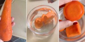 carrot-lembik