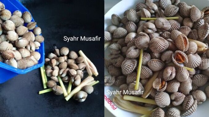 cara-rebus-kerang-tanpa-air-